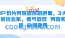 IP切片剪辑运营陪跑课，3大培训体系，账号运营 剪辑实操 快速变现