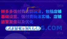拼多多强付费店群玩法，包括店铺基础设置、强付费玩法实操、店铺运营复盘以及优化