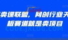 AI卖课联盟，网创行业天花板赛道就是卖项目