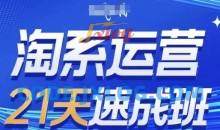 淘系运营21天速成班(更新24年6月)，0基础轻松搞定淘系运营，不做假把式