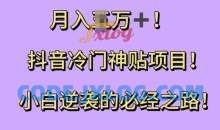 抖音冷门神贴项目，小白逆袭的必经之路