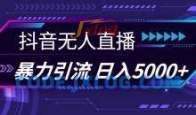 抖音快手视频号全平台通用无人直播引流法，利用图片模板和语音话术