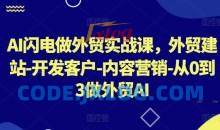 AI闪电做外贸实战课，外贸建站-开发客户-内容营销-从0到3做外贸AI