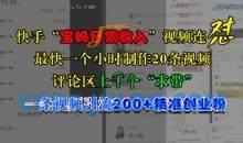 快手“宝妈日常收入”视频连怼一条视频引流200+精准创业粉