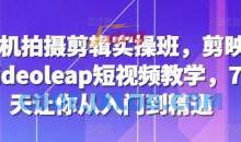 手机拍摄剪辑实操班，剪映videoleap短视频教学，7天让你从入门到精通