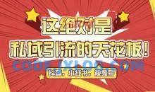 最新首发全平台引流玩法，公域引流私域玩法，轻松获客500+，附引流脚本