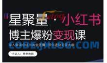 小红书博主爆粉变现课，深入解读小红书商业逻辑，带你进阶变现大咖
