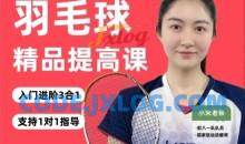 小宋老师·羽毛球3合1精品提高课