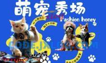 酷飒动物跳舞走秀，时尚喵FASHION汪， 多金小姐姐最爱的，轻松月入破W【揭秘】