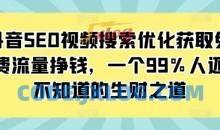 抖音SEO视频搜索优化获取免费流量挣钱，一个99%人还不知道的生财之道