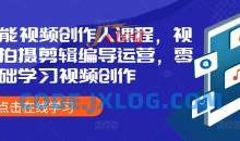 王松傲寒全能视频创作人课程，视频拍摄剪辑编导运营，零基础学习视频创作