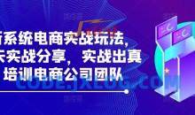 最新系统电商实战玩法，31天实战分享，实战出真知，培训电商公司团队