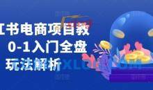 小红书电商项目教程，0-1入门全盘玩法解析