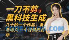 无需任何剪辑 几十秒一个作品，今天做明天见收益【项目拆解】