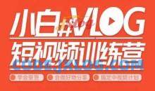 小呆说视 小白VLOG短视频训练营（学会带货、好物、直播、中视频）
