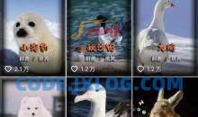 动物科普解说项目，撸创作者伙伴计划收益，保姆级实战教程