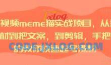 短视频meme猫实战项目，从选素材到把文案，到剪辑，手把手的教你快速起号涨粉