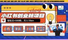 小红书创业粉项目日+500粉，每天20分钟躺赚长尾收益，无脑操作