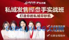 私域发售操盘手实战班，打造你的私域印钞机