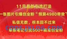 小红书11月最新图片打粉，一张图片引爆创业粉，单条引流500+精准创业粉