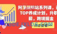 阿里国际站系列课，运营TOP养成计划，升职加薪，跨境掘金