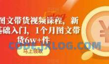 AI图文带货视频课程，新人基础入门，1个月图文带货6w+件