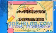 vivo中视频蓝海项目，沙雕动漫无脑搬运，小白也可轻松上手