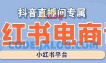 小红书电商高级运营课程，实操教学+案例分析