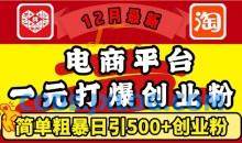 12月最新：电商平台1元打爆创业粉，简单粗暴日引500+精准创业粉
