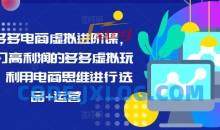 拼多多电商虚拟进阶课，学习高利润的多多虚拟玩法，利用电商思维进行选品+运营