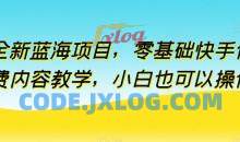全新蓝海项目小白零基础快手付费内容教学