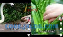 抖音卡章节搬运：短剧搬运术，百分百过抖，一比一搬运，只能安卓【揭秘】