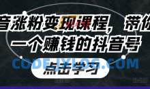 抖音涨粉变现课程，带你做一个赚钱的抖音号