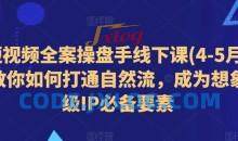 短视频全案操盘手线下课(4-5月)教你如何打通自然流，成为想象级IP必备要素