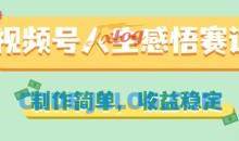 视频号人生感悟赛道，制作简单，收益稳定【揭秘】