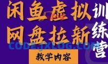 闲鱼虚拟网盘拉新训练营，两天快速人门，长久稳定被动收入，要在没有天花板的项目里赚钱