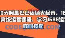90天阿里巴巴店铺火起来，1688高级运营课程，学习1688运营核心技能