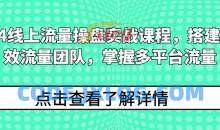 2024线上流量操盘实战课程，搭建高人效流量团队，掌握多平台流量