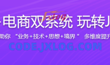 实战支付+电商双系统 玩转Java技术栈