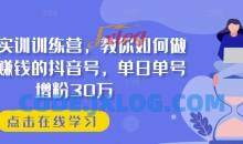 抖音实训训练营，教你如何做一个赚钱的抖音号，单日单号增粉30万