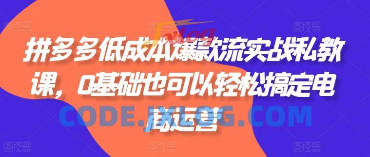拼多多低成本爆款流实战私教课,0基础也可以轻松搞定电商运营 拼多多低成本爆款流实战私教课,0基础也可以轻松搞定电商运营