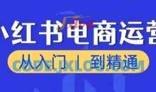 小红书电商运营课，从入门到精通，带你抓住又一个赚钱风口