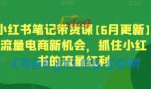 小红书笔记带货课【6月更新】流量电商新机会，抓住小红书的流量红利
