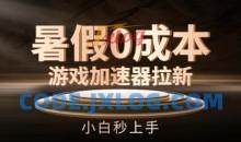 暑假0成本游戏加速器拉新，小白秒上手，无需投资【揭秘】
