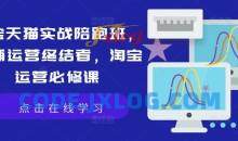 淘宝天猫实战陪跑班，店铺运营终结者，淘宝运营必修课