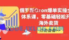 俄罗斯Ozon爆单实操全阶体系课，零基础轻松开启海外卖货