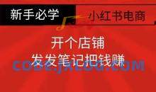 小红书零食共创【新手易上手】开个店铺，发发笔记把钱赚