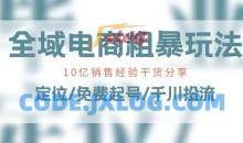 全域电商-粗暴玩法课：10亿销售经验干货分享!定位/免费起号/千川投流
