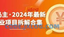 黄岛主·2024年最新副业项目拆解合集600G【无水印】