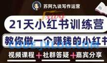 苏阿九第六期21天小红书赚钱训练营